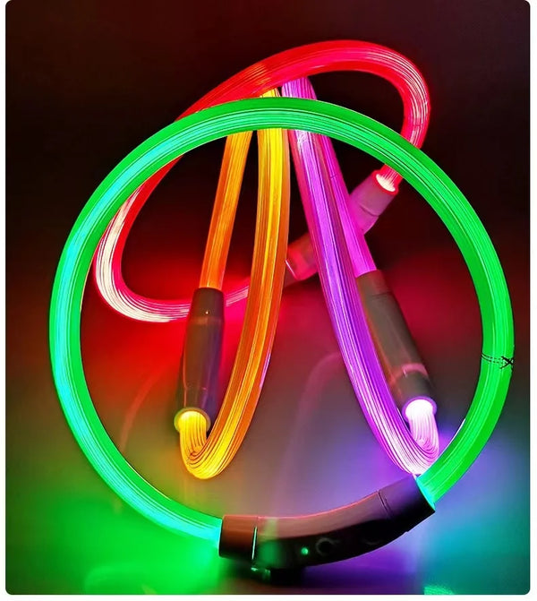 USB-aufladbarer LED-Hundehalsband