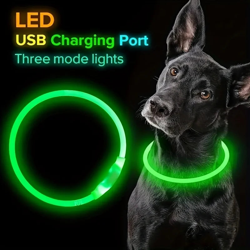 Un perro negro con un collar de puerto USB LED verde brillante con tres modos de luz.