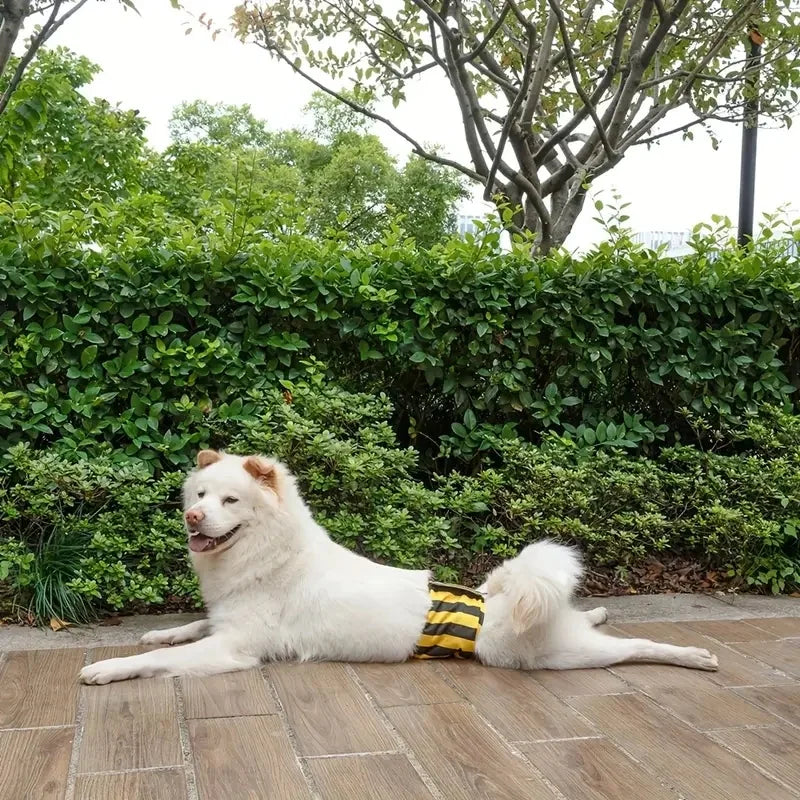Reusable Washable Belly Band for Male Dogs