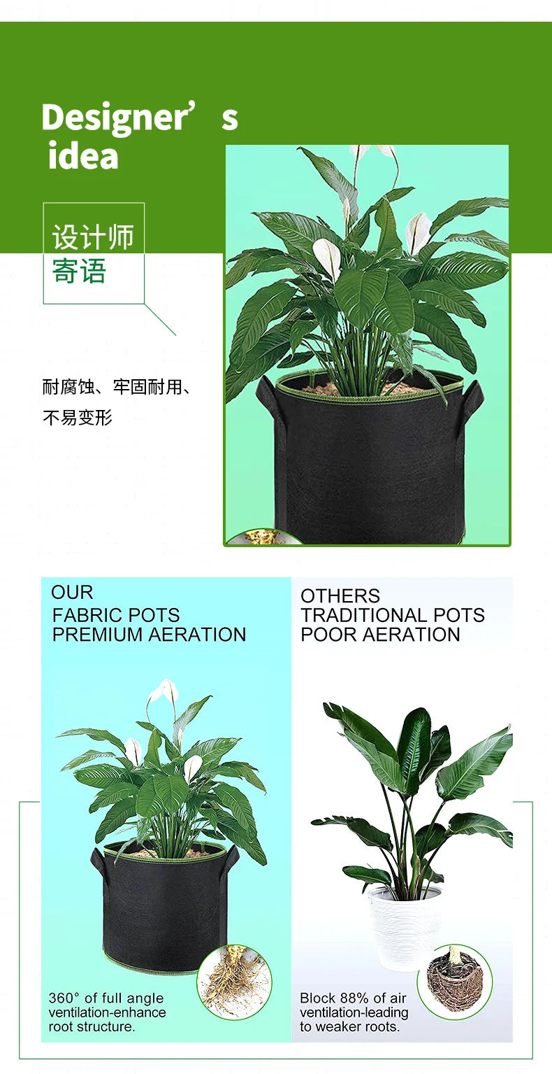 Black non-woven aeration grow bag with handles containing a plant.