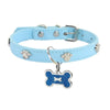 Light blue leather collar with silver hardware and a blue glitter bone tag shaped like a paw print.