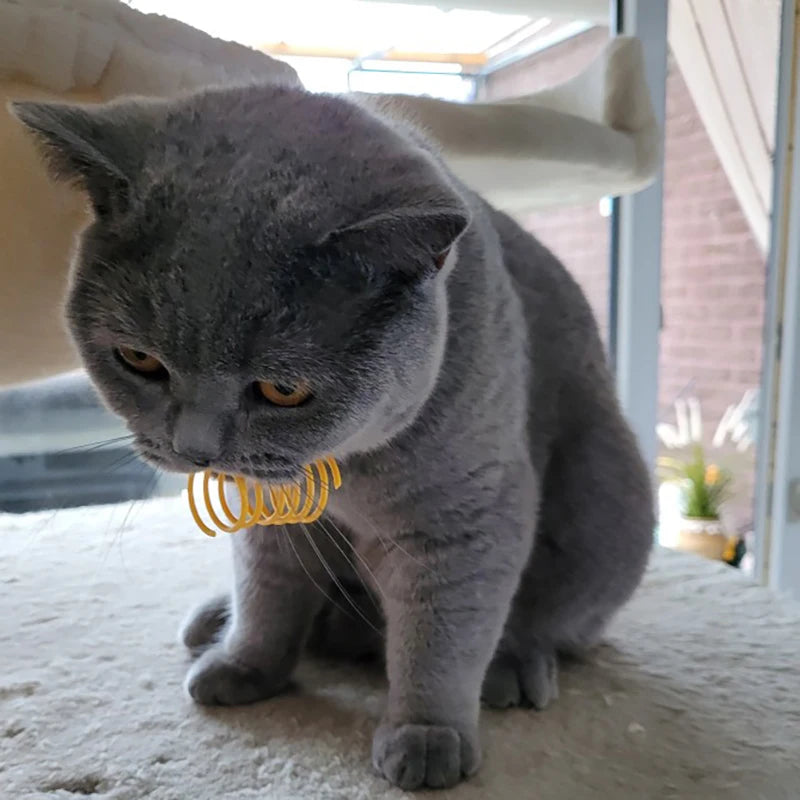 Jouets Ressort Colorés pour Chats - Ensemble de Jeu Rebondissant et Durable