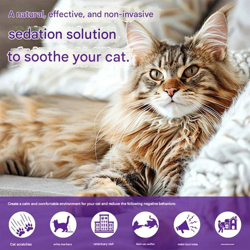 A tabby cat is resting on a white blanket, illustrating a natural sedation solution for cats.