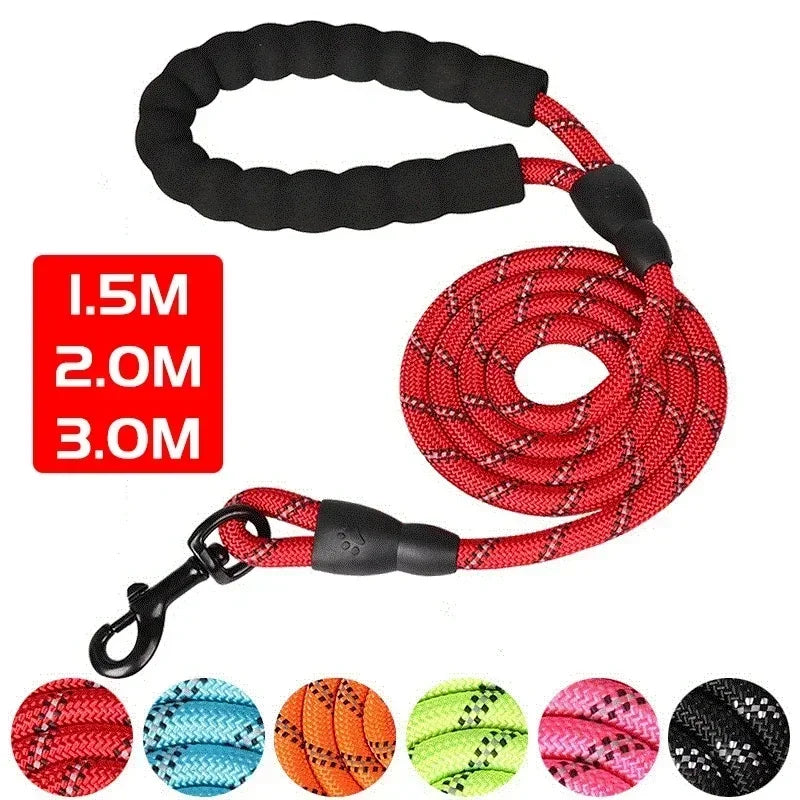 A set of red and black reflective dog leashes of various lengths, including 1.5m, 2.0m, and 3.0m, with a padded handle.
