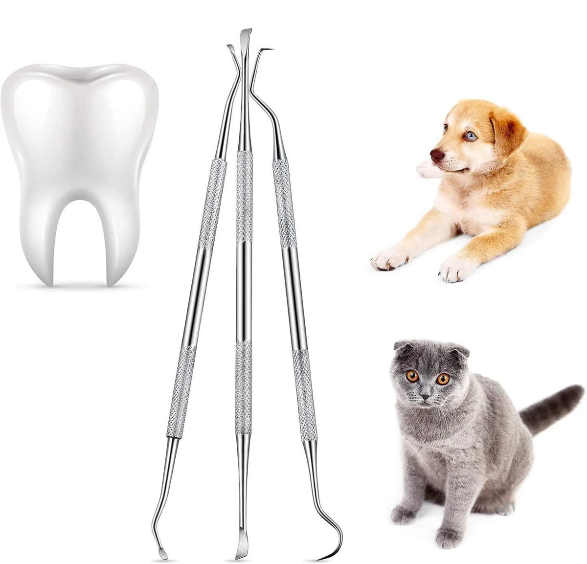 Stainless steel dog tooth cleaner set showing a tooth model, dental tools, and a dog and a cat.