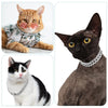 Gold-Ketten-Hundehalsband