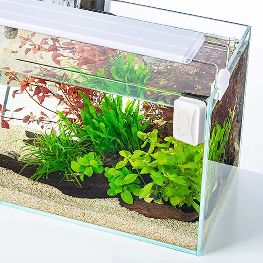 Aquarium en verre rempli de substrat et de plantes vertes, avec un outil de nettoyage magnétique blanc.