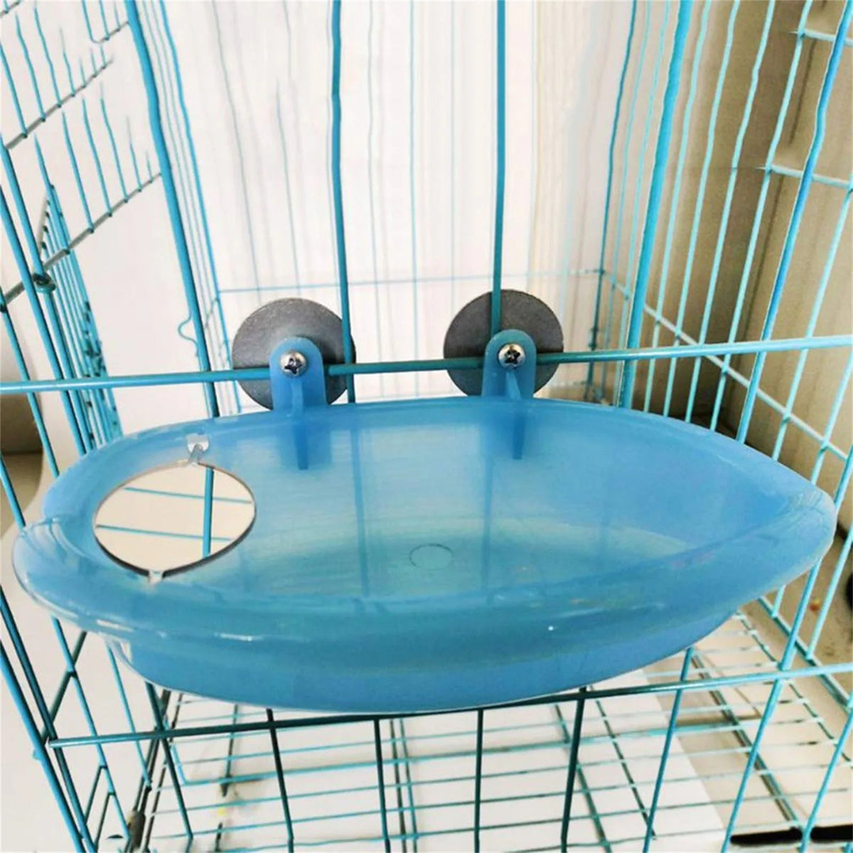 A light blue cage-mounted bird bath with a mirror is visible inside a wire cage.