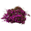 Lifelike Artificial Climbing Vine for Miniature Landscapes
