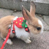 A brown and white cartoon rabbit wearing a red harness with green accents and attached to a leash on a gray pavement.