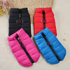 Windproof Padded Dog Coat for Small Breeds