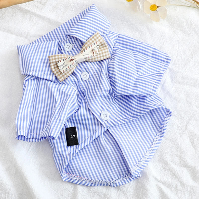 A light blue and white striped pet shirt with a bowknot detail is laid flat on a white surface.