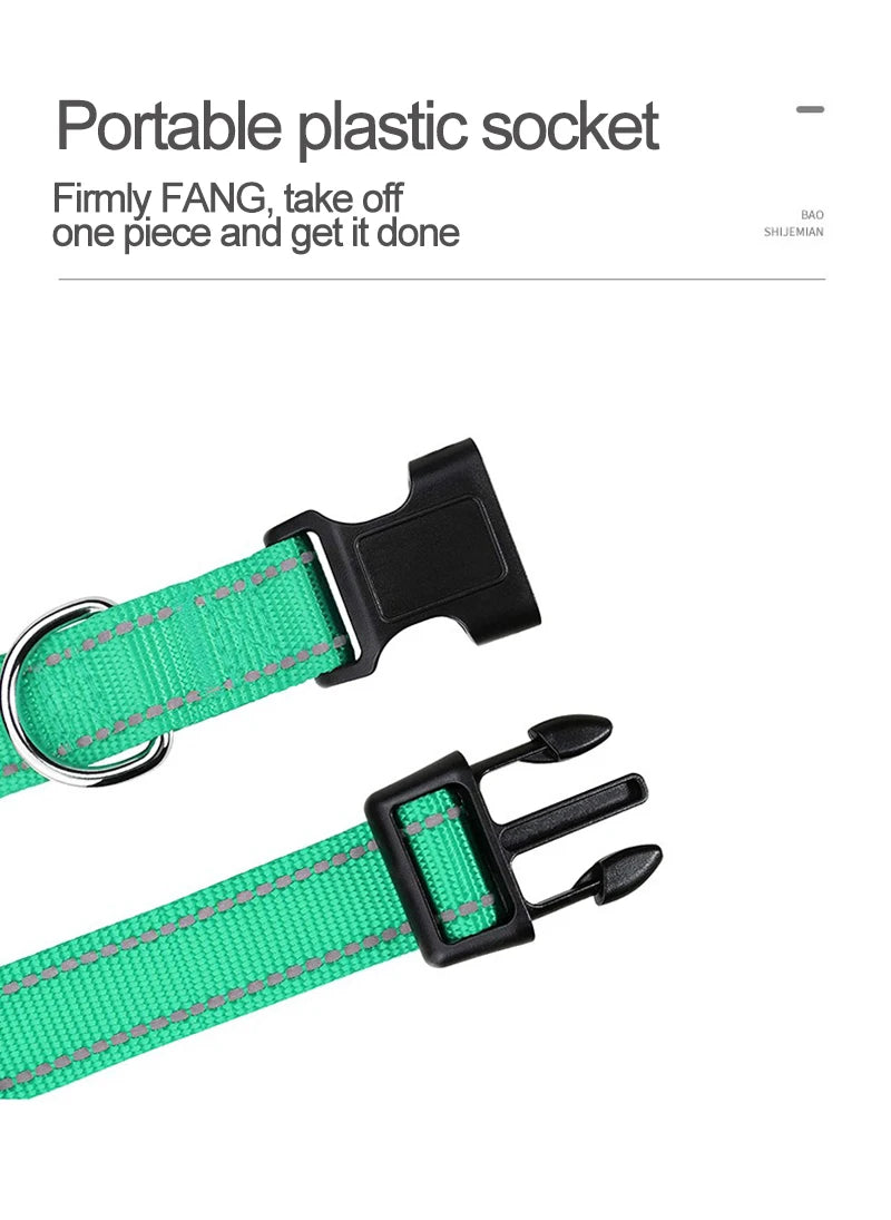 Decorative Nylon Dog Collar with Buckle Closure