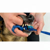 Hands hold a silicone pet toothbrush for dogs, showing the bristles and the dog's mouth.