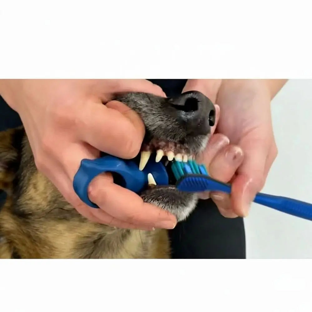 Hands hold a silicone pet toothbrush for dogs, showing the bristles and the dog's mouth.