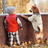 Adorable Bear Pattern Knitted Cardigan for Small Dogs and Cats