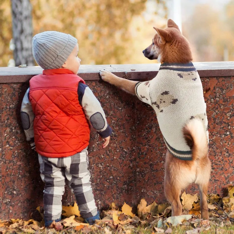 Adorable Bear Pattern Knitted Cardigan for Small Dogs and Cats