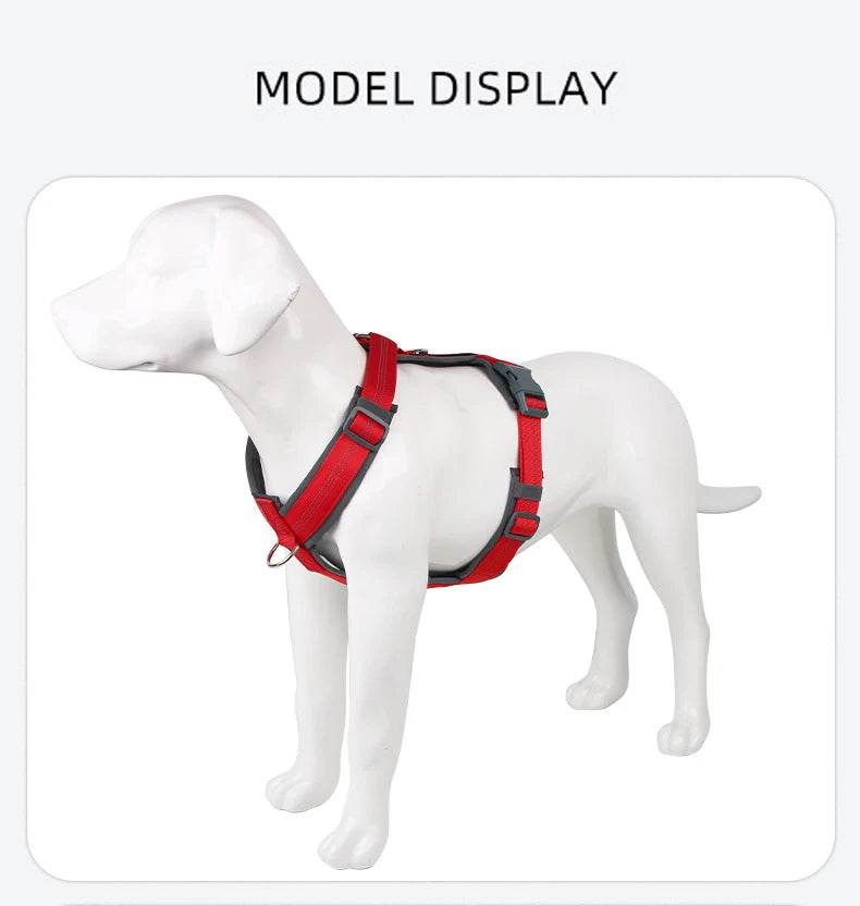 A white dog wearing a red adjustable no-pull reflective harness is displayed against a white background.