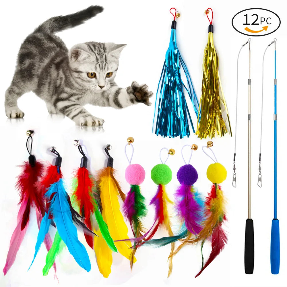 A set of 12 feather cat wand toys featuring various colors like blue, yellow, green, pink, and purple.