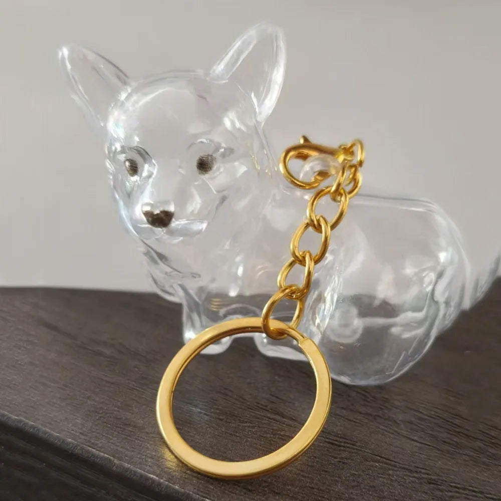 Pet Hair Storage Keychain – Transparent Dog & Cat Fur Keepsake Pendant