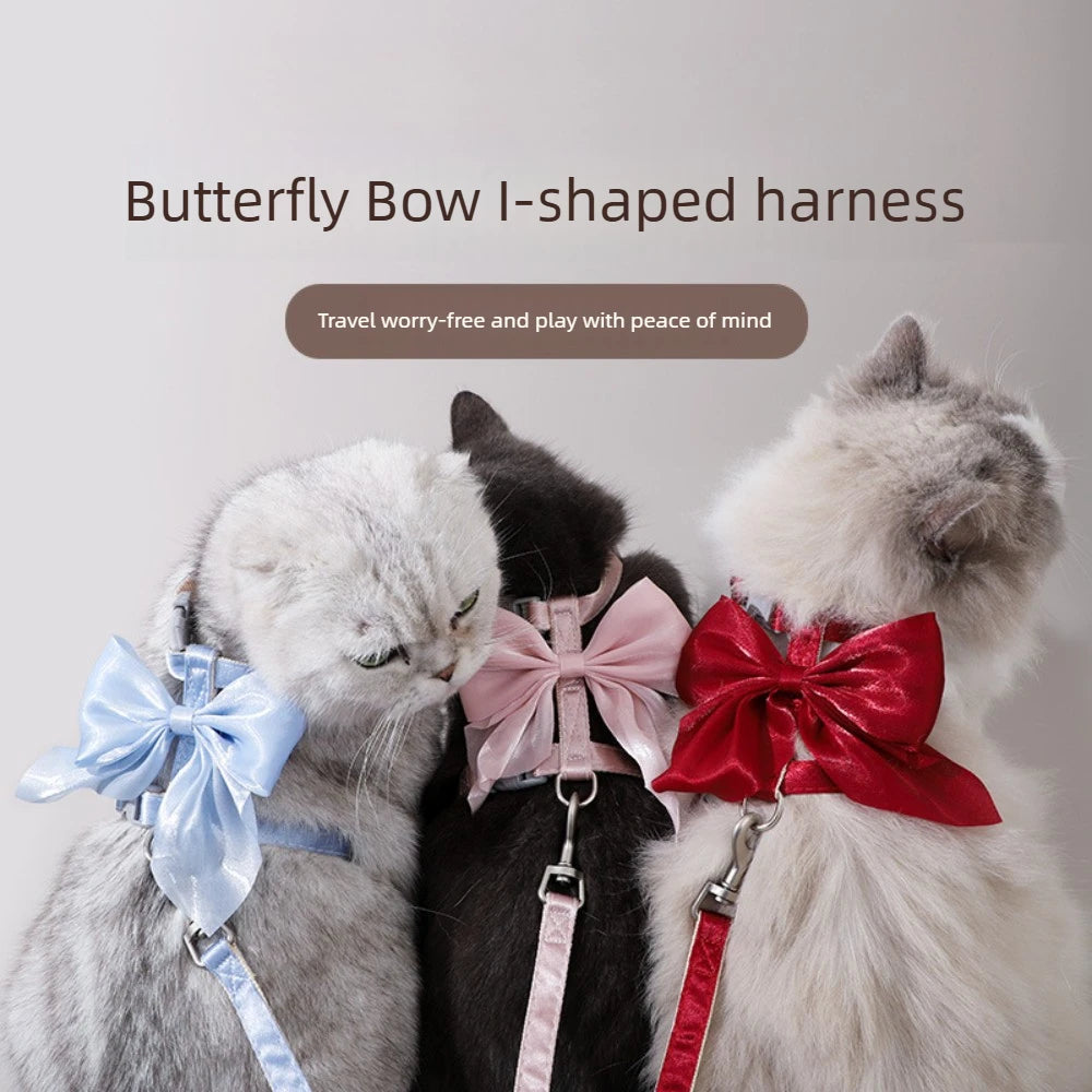 Three cats wearing butterfly bow I-shaped harnesses and leashes