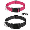 Decorative Nylon Dog Collar with Buckle Closure