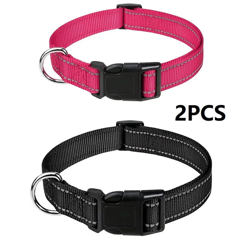 Decorative Nylon Dog Collar with Buckle Closure