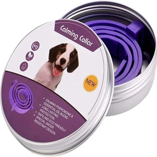 A silver pet calming pheromone collar in purple packaging with a dog visible.