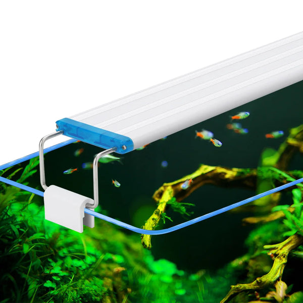 Lumière LED pour Aquarium à Clip Réglable