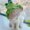 Un chat blanc et duveteux portant un bonnet tricoté vert avec des accents roses, assis près d'une fenêtre.