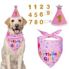 A golden retriever wearing a pink birthday hat and matching fabric bandana with sequins.