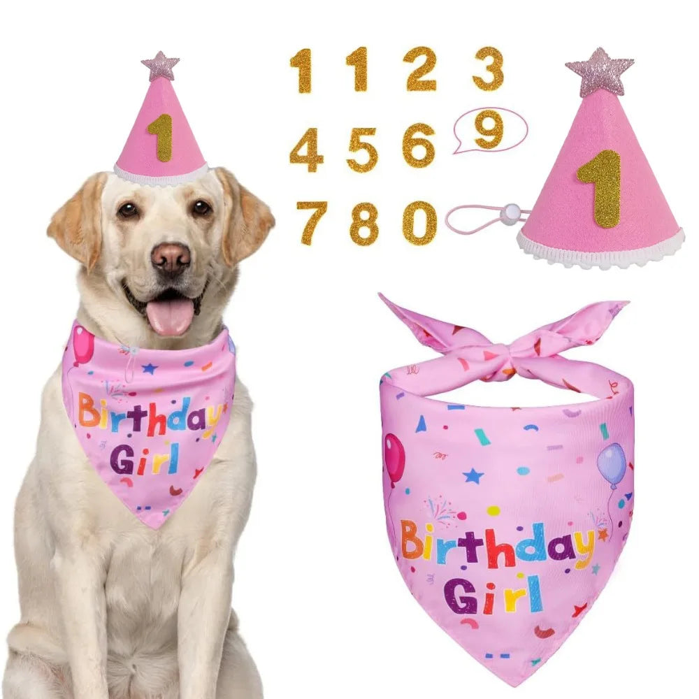 A golden retriever wearing a pink birthday hat and matching fabric bandana with sequins.
