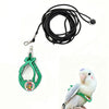 A green adjustable parrot harness and elastic leash set with a white bird.