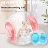 Clear Hamster Exercise Ball for Small and Medium Hamsters