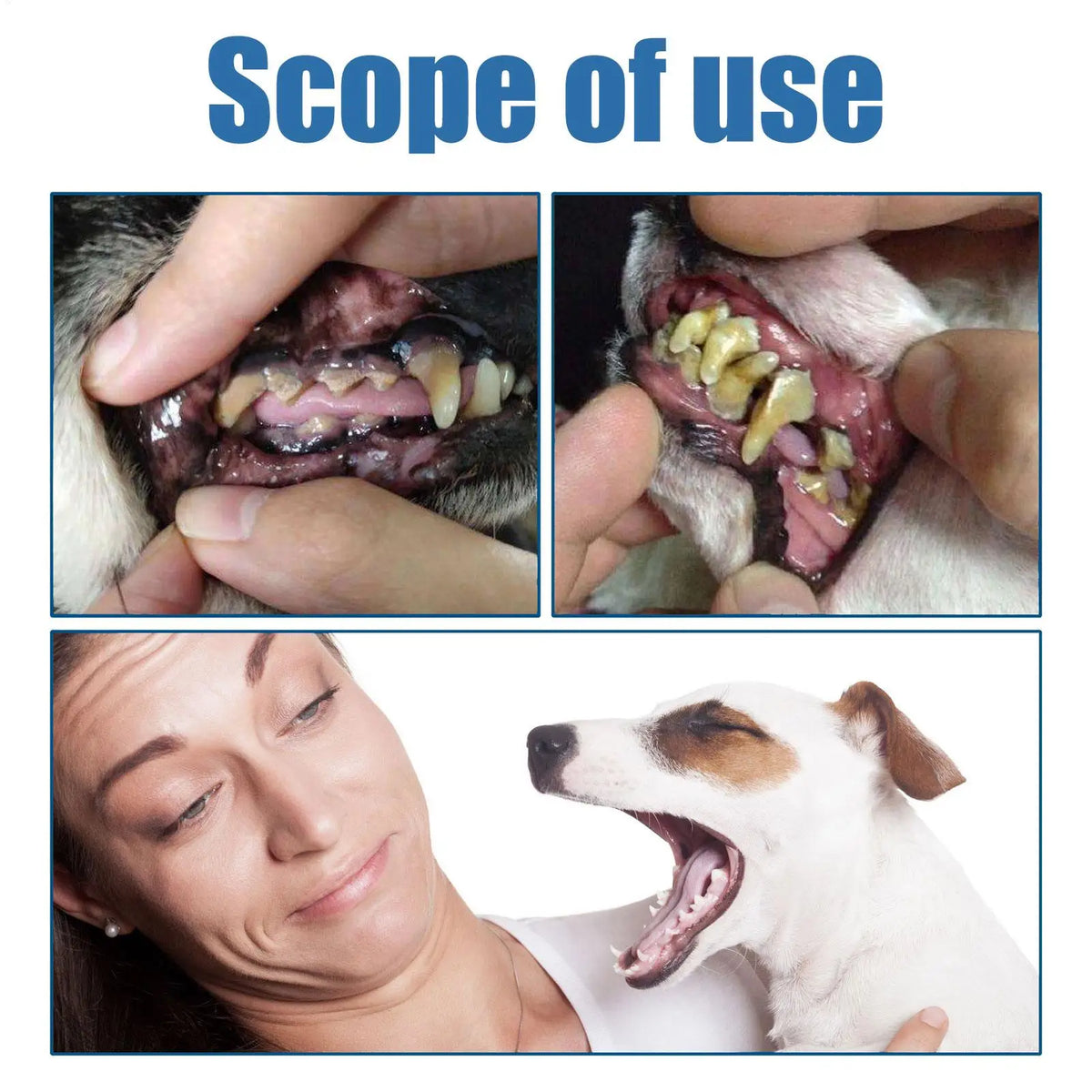 Natural Dental Care Foam for Dogs – Tartar Remover & Fresh Breath Solution