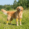 Dog Knee Pads with Elastic Leg Covers for Joint Protection