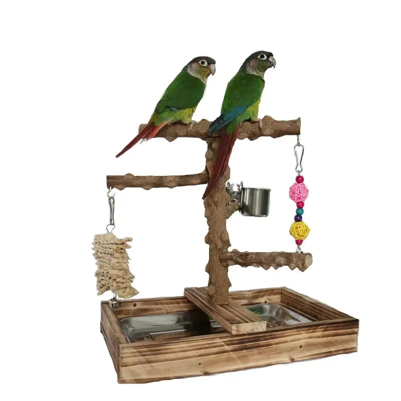 A parrot perched on a wooden climbing platform and bridge structure.