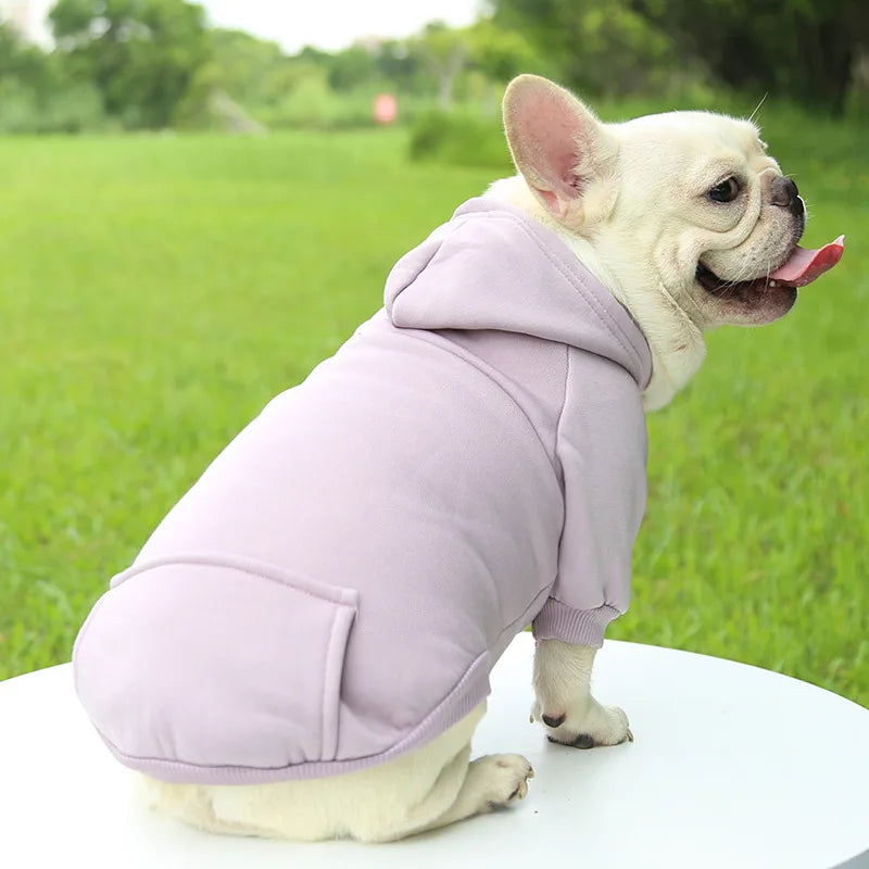 Un pull à capuche violet clair et douillet porté par un bouledogue français dans un champ herbeux.