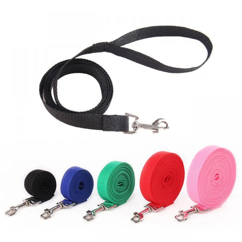 A set of nylon dog training leashes in various solid colors including black, blue, green, red, and pink.