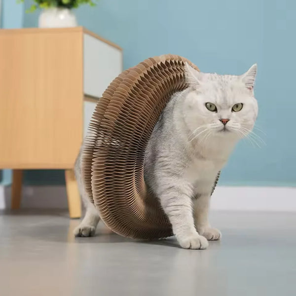 Nid Grattoir pour Chat en Carton Ondulé