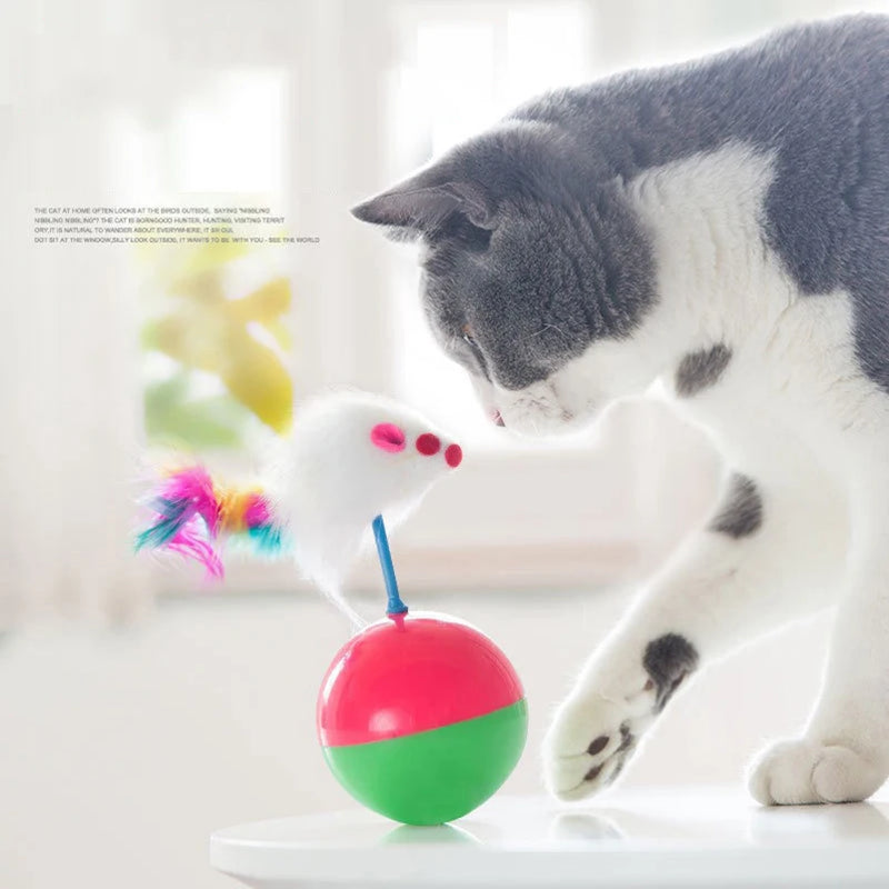 Ensemble de Jouets Interactifs pour Chats avec Plume et Souris en Peluche
