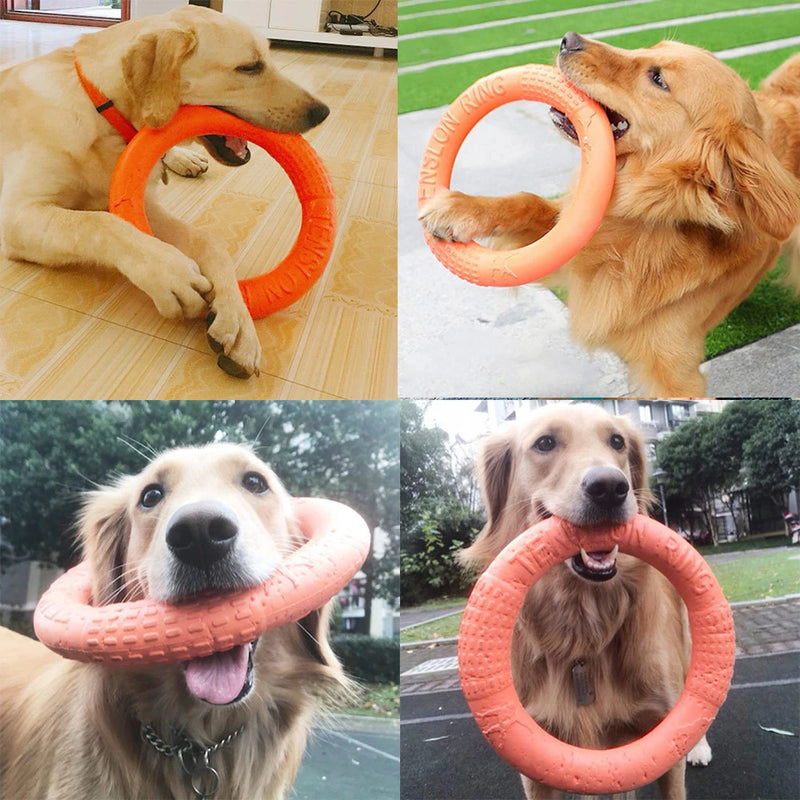 Orange EVA Dog Flying Disk Ring Puller - Interactive Toy
