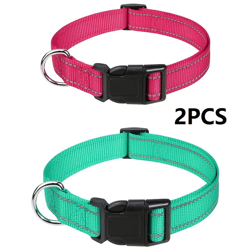 Decorative Nylon Dog Collar with Buckle Closure