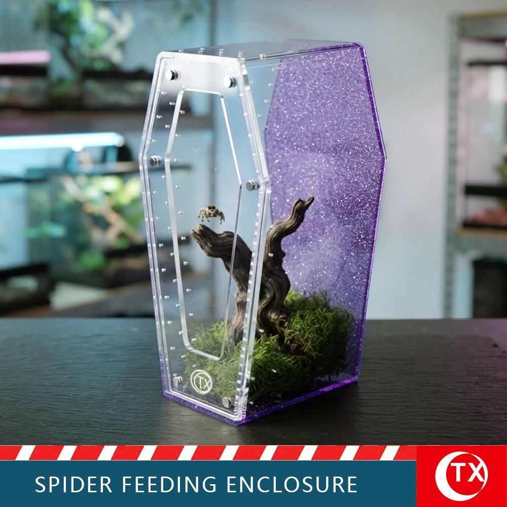A clear acrylic spider feeding enclosure with a purple background and moss, displayed on a dark surface.