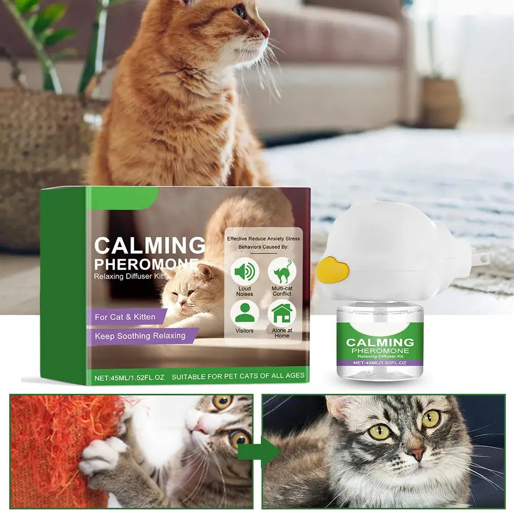 Una caja y difusor de feromona calmante para gatos junto a un gato doméstico.