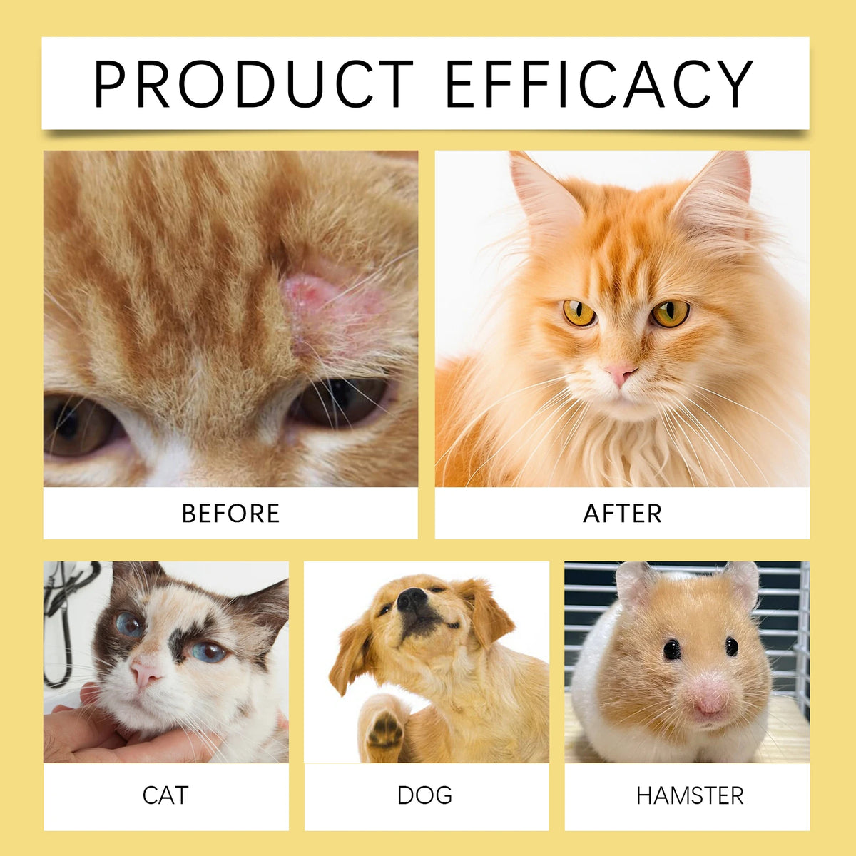 Vergleichsbild: Vorher- und nachher-Ergebnisse eines Hautberuhigungs-Sprays für Katze, Hund und Hamster.