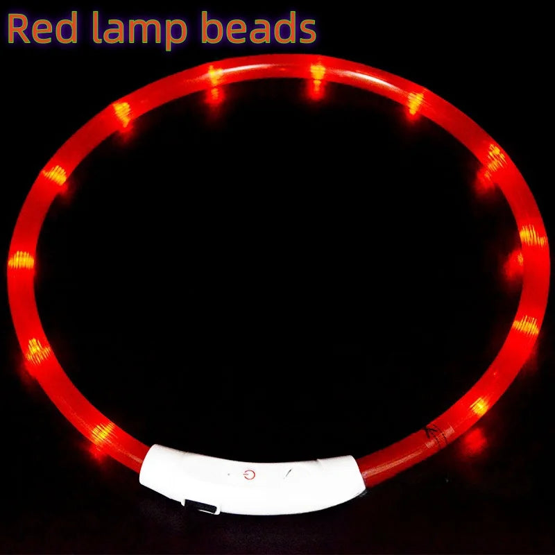 USB-aufladbarer LED-Hundehalsband