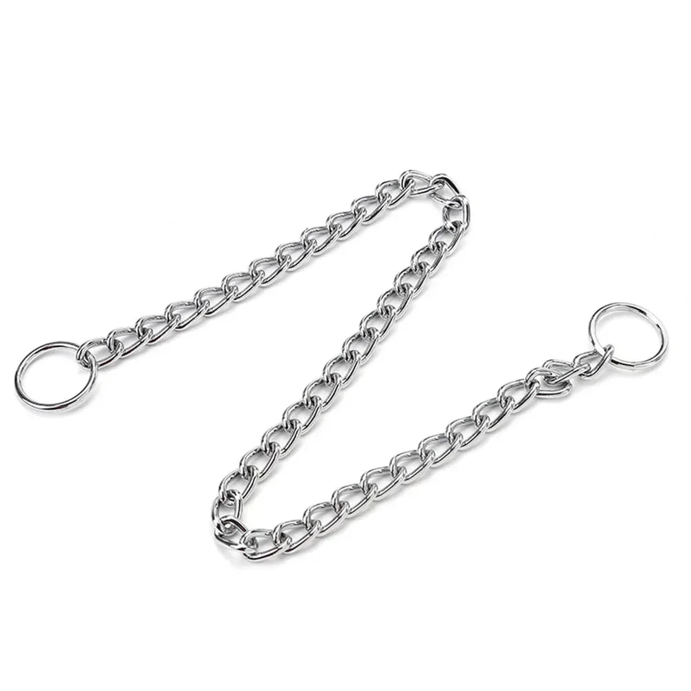 A silver stainless steel slip chain dog collar with a circular clasp.