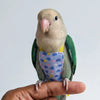 Breathable Parrot Flight Suit with Poop Pocket
