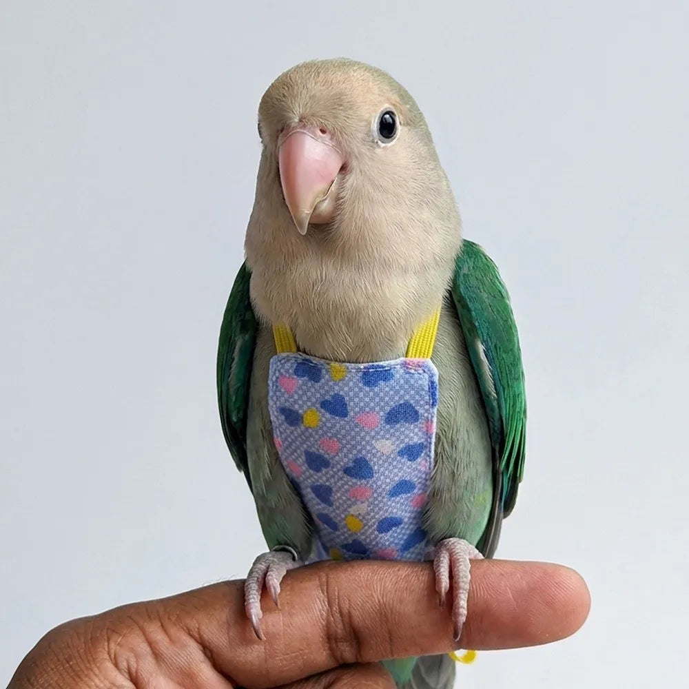 Breathable Parrot Flight Suit with Poop Pocket